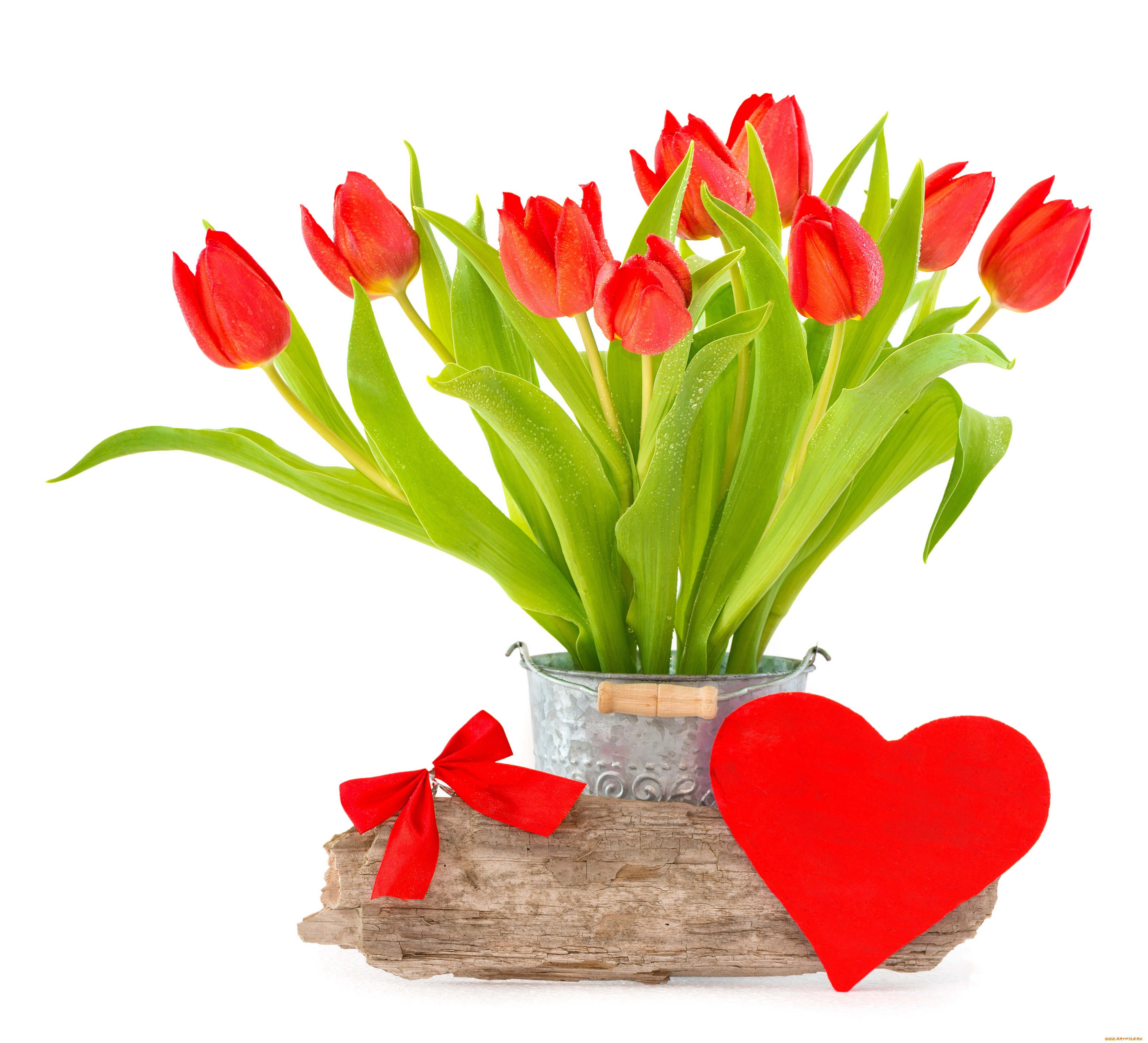 , , fresh, tulips, bouquet, spring, heart, love, red